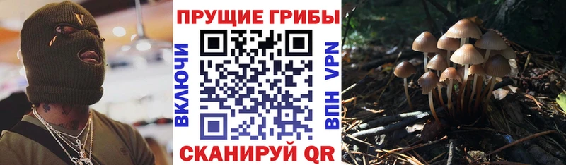 Псилоцибиновые грибы GOLDEN TEACHER Сортавала