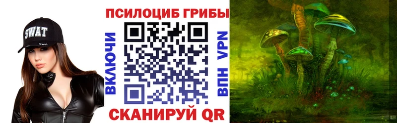 mega зеркало Сортавала Галлюциногенные грибы Psilocybine cubensis цена
